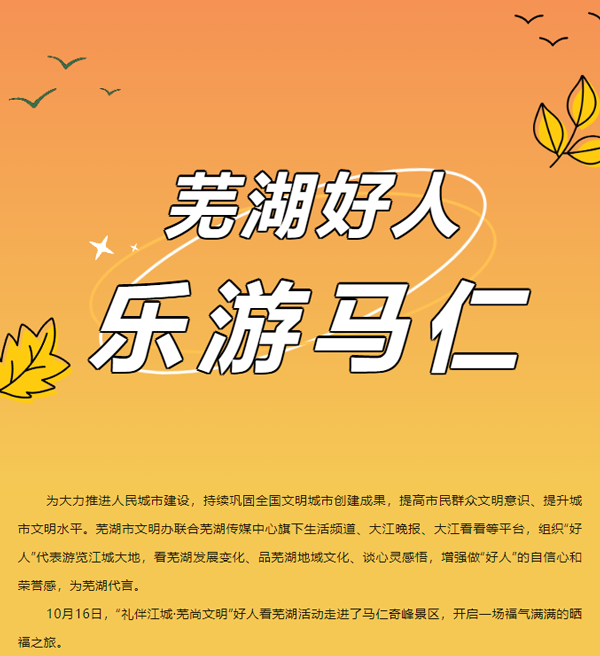 午夜熟女插插XX免费视频