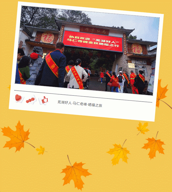 午夜熟女插插XX免费视频