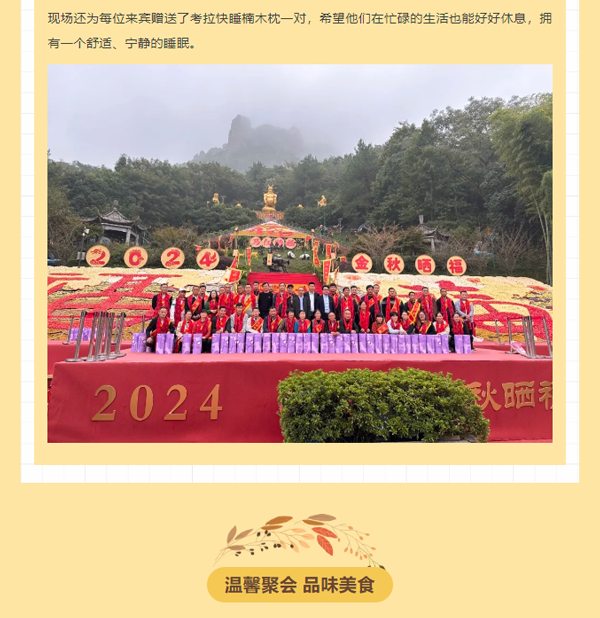 午夜熟女插插XX免费视频