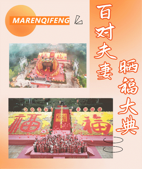 午夜熟女插插XX免费视频