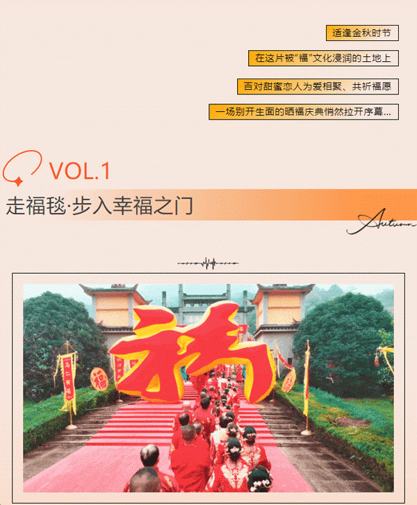 午夜熟女插插XX免费视频