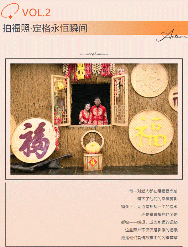 午夜熟女插插XX免费视频