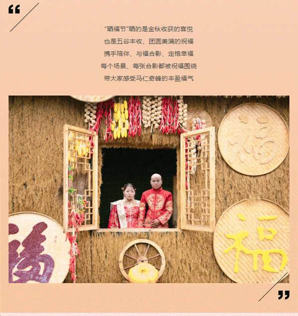 午夜熟女插插XX免费视频