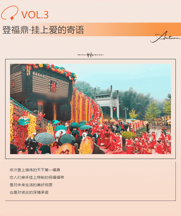 午夜熟女插插XX免费视频