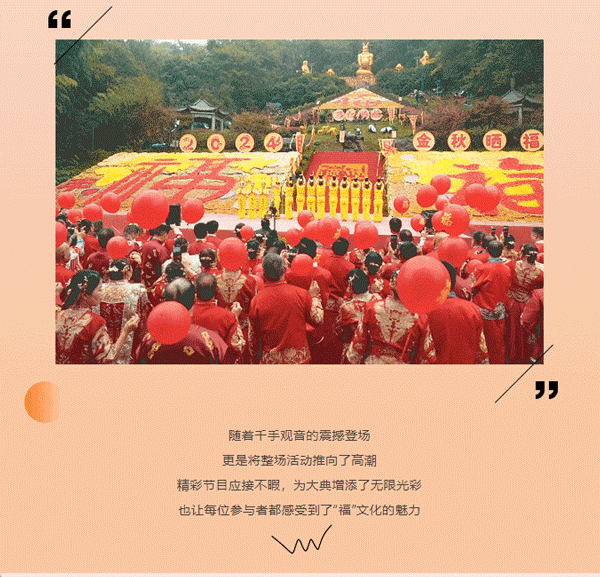 午夜熟女插插XX免费视频