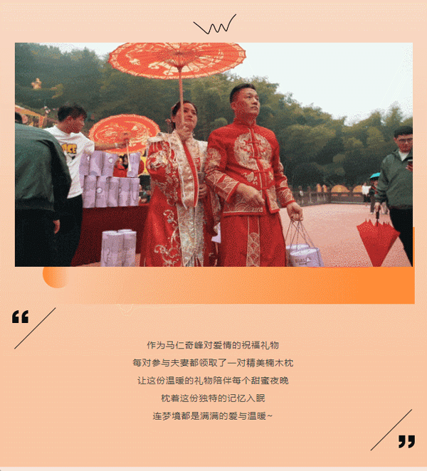 午夜熟女插插XX免费视频