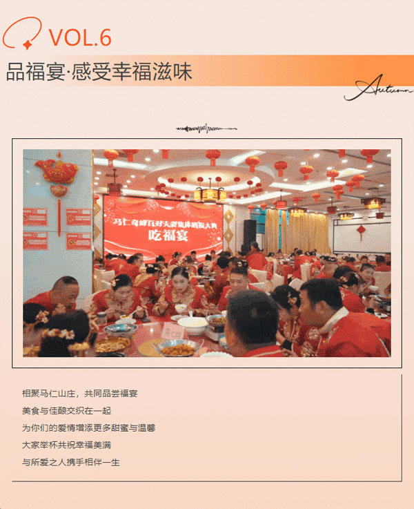 午夜熟女插插XX免费视频