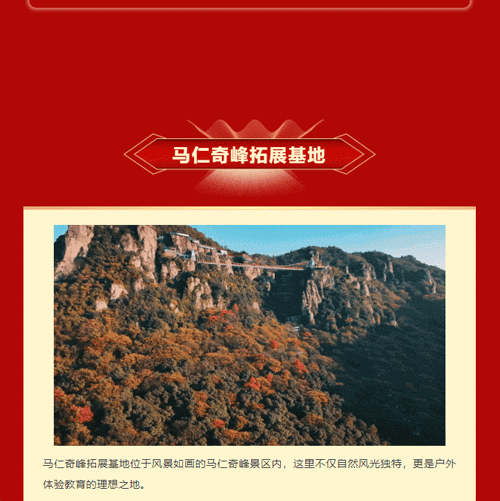 午夜熟女插插XX免费视频