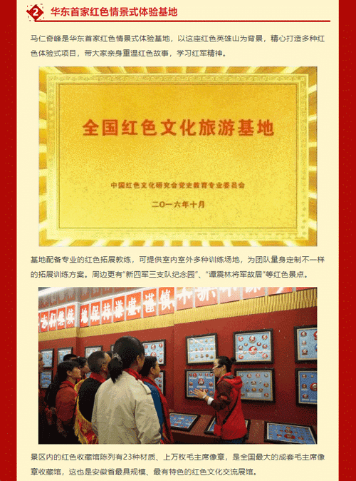 午夜熟女插插XX免费视频