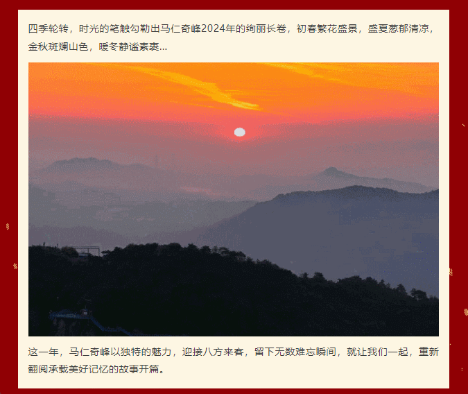 午夜熟女插插XX免费视频