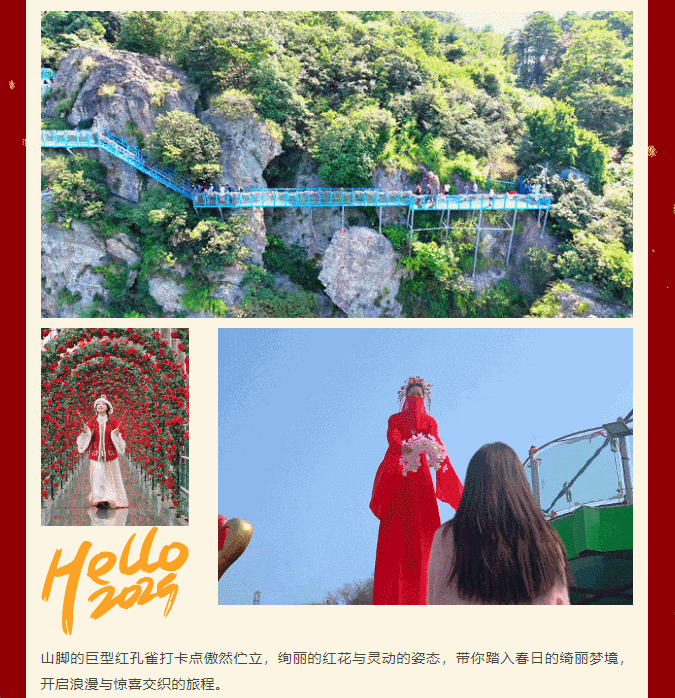 午夜熟女插插XX免费视频