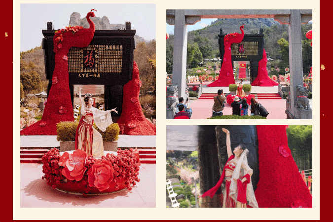 午夜熟女插插XX免费视频