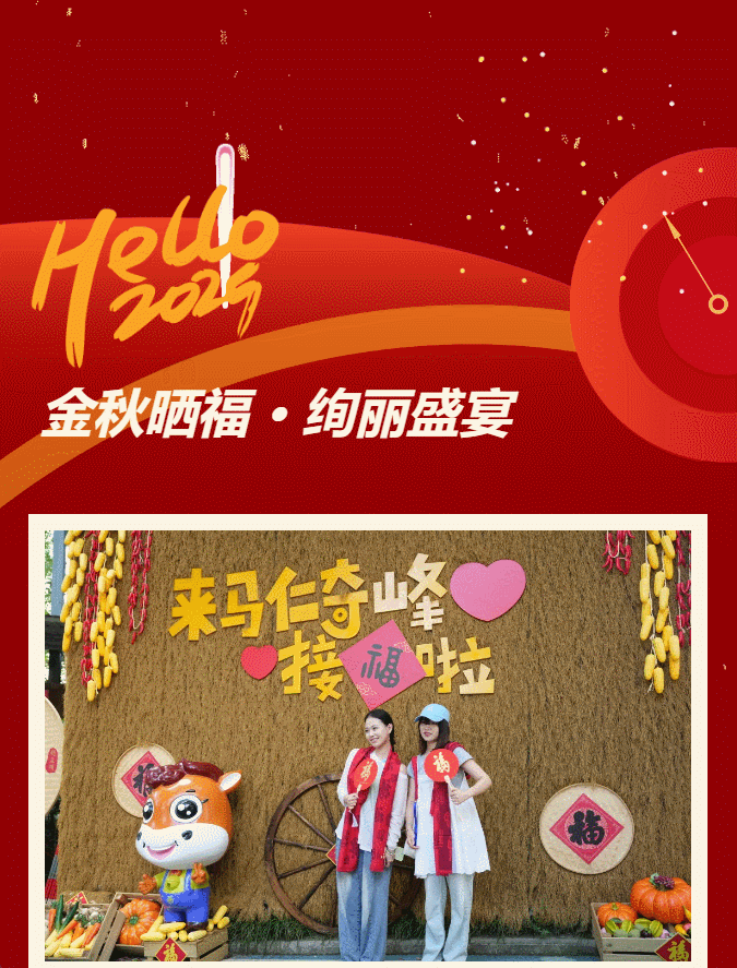 午夜熟女插插XX免费视频