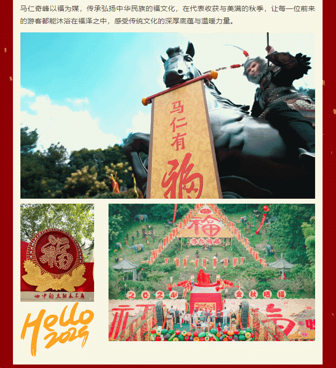 午夜熟女插插XX免费视频