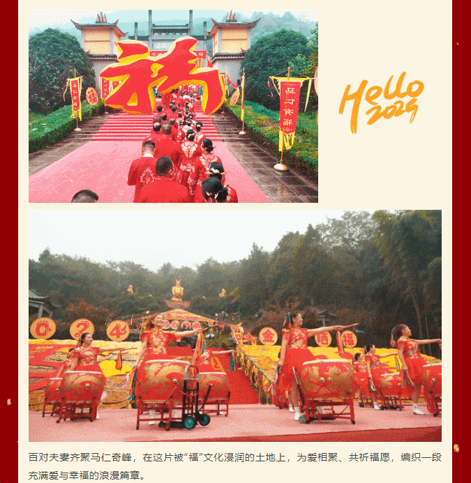 午夜熟女插插XX免费视频