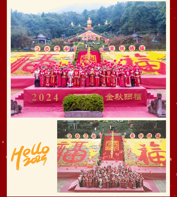 午夜熟女插插XX免费视频