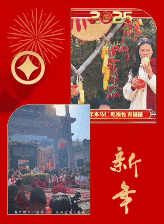 午夜熟女插插XX免费视频