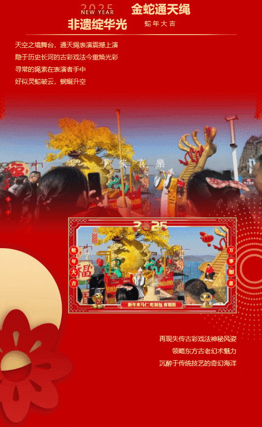 午夜熟女插插XX免费视频