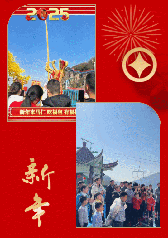 午夜熟女插插XX免费视频