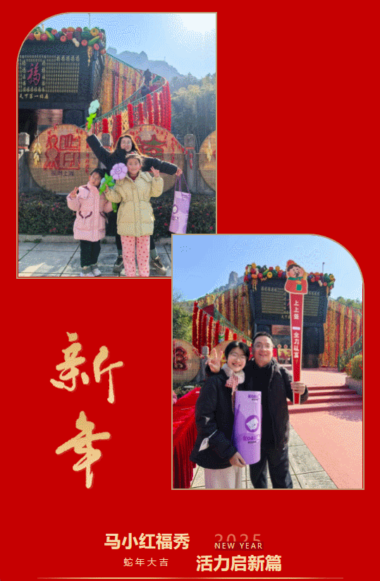 午夜熟女插插XX免费视频