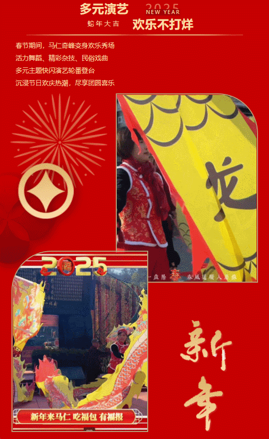 午夜熟女插插XX免费视频