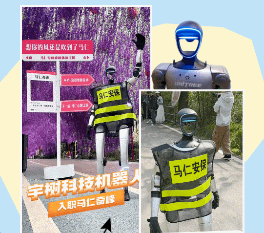 午夜熟女插插XX免费视频