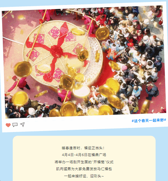 午夜熟女插插XX免费视频