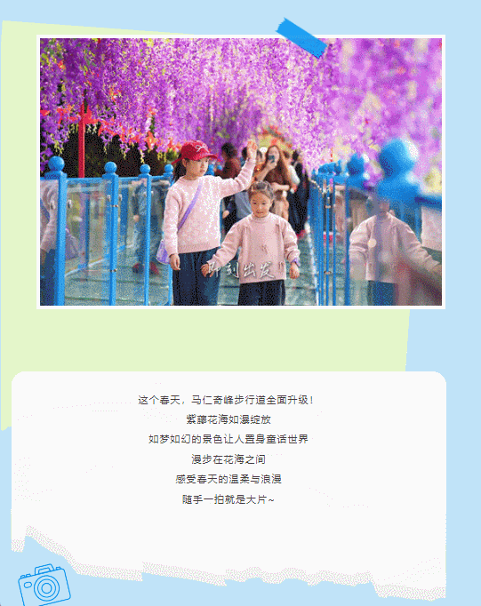 午夜熟女插插XX免费视频