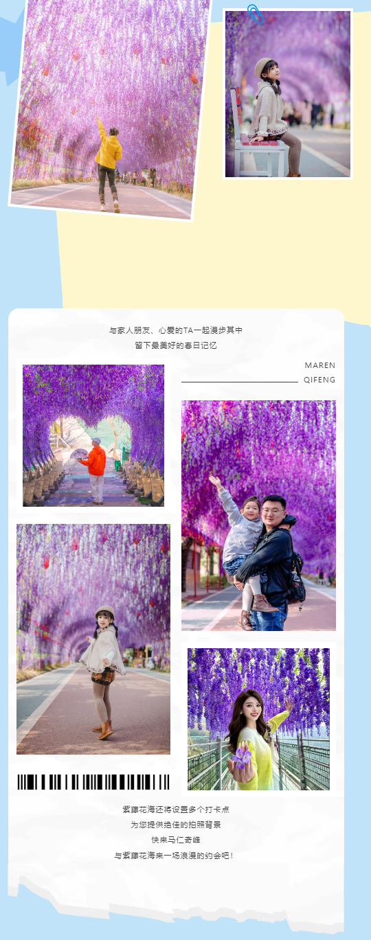 午夜熟女插插XX免费视频