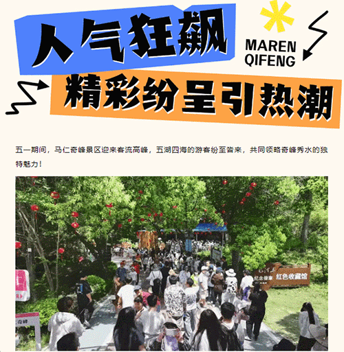 午夜熟女插插XX免费视频