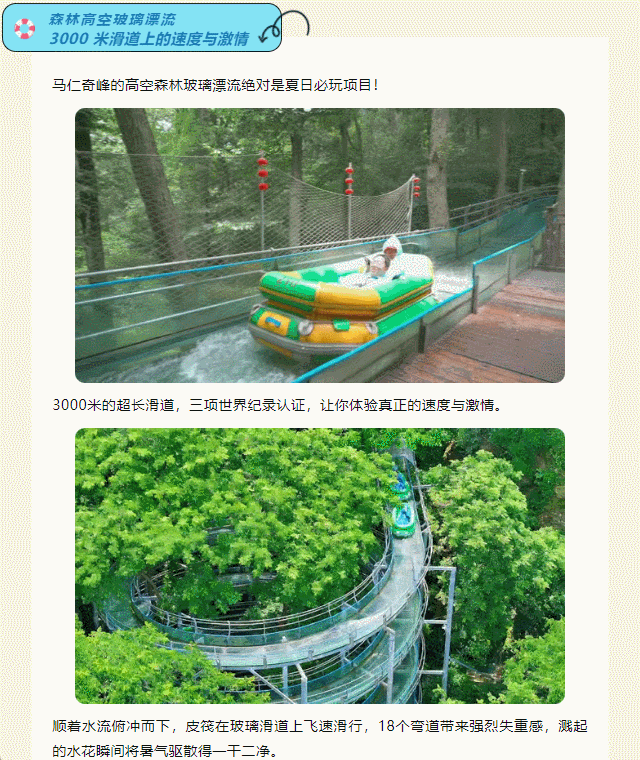 午夜熟女插插XX免费视频