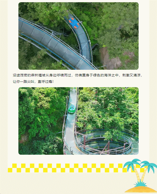 午夜熟女插插XX免费视频