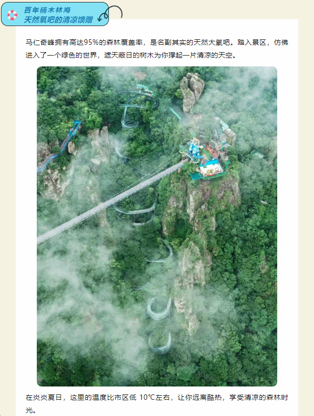 午夜熟女插插XX免费视频