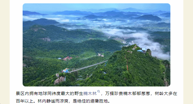 午夜熟女插插XX免费视频