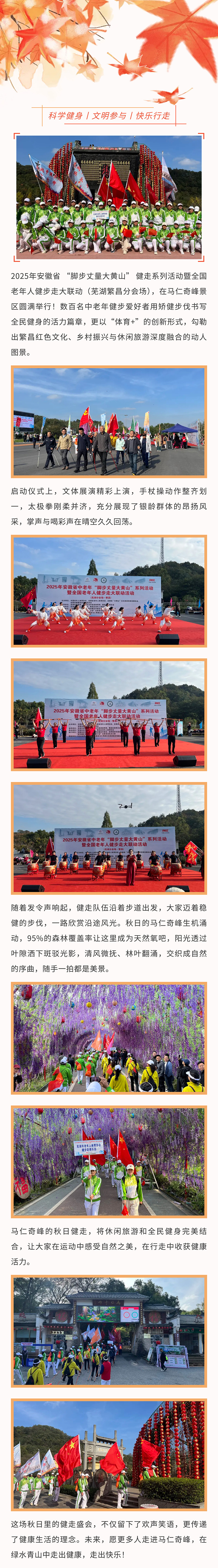 午夜熟女插插XX免费视频